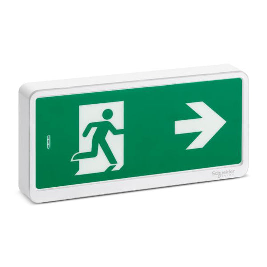 Schneider Electric - Exiway - Lot de 20 blocs de secours Exiway Light - Evacuation IP42 SATI - Réf. fab.: OVA59110P