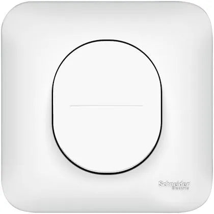 Schneider Electric -  Ovalis - Lot de 40 interrupteurs - connexion automatique. Sans emballage unitair - Réf. fab.: S263204