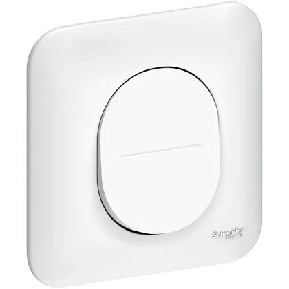 Schneider Electric -  Ovalis - Lot de 40 interrupteurs - connexion automatique. Sans emballage unitair - Réf. fab.: S263204