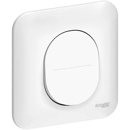 Schneider Electric -  Ovalis - Lot de 40 interrupteurs - connexion automatique. Sans emballage unitair - Réf. fab.: S263204